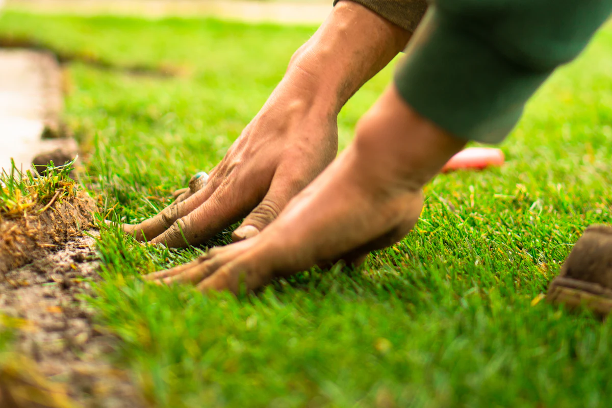 Hands pressing fresh sod into place