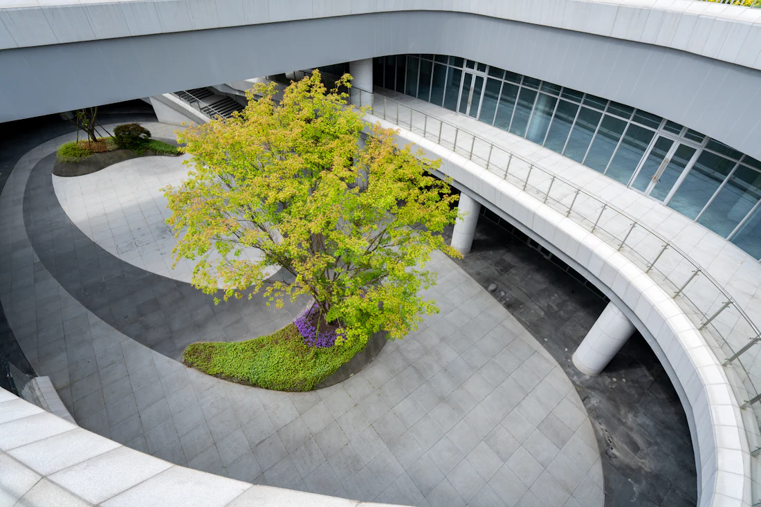 Commercial courtyard with tree and curved walkways