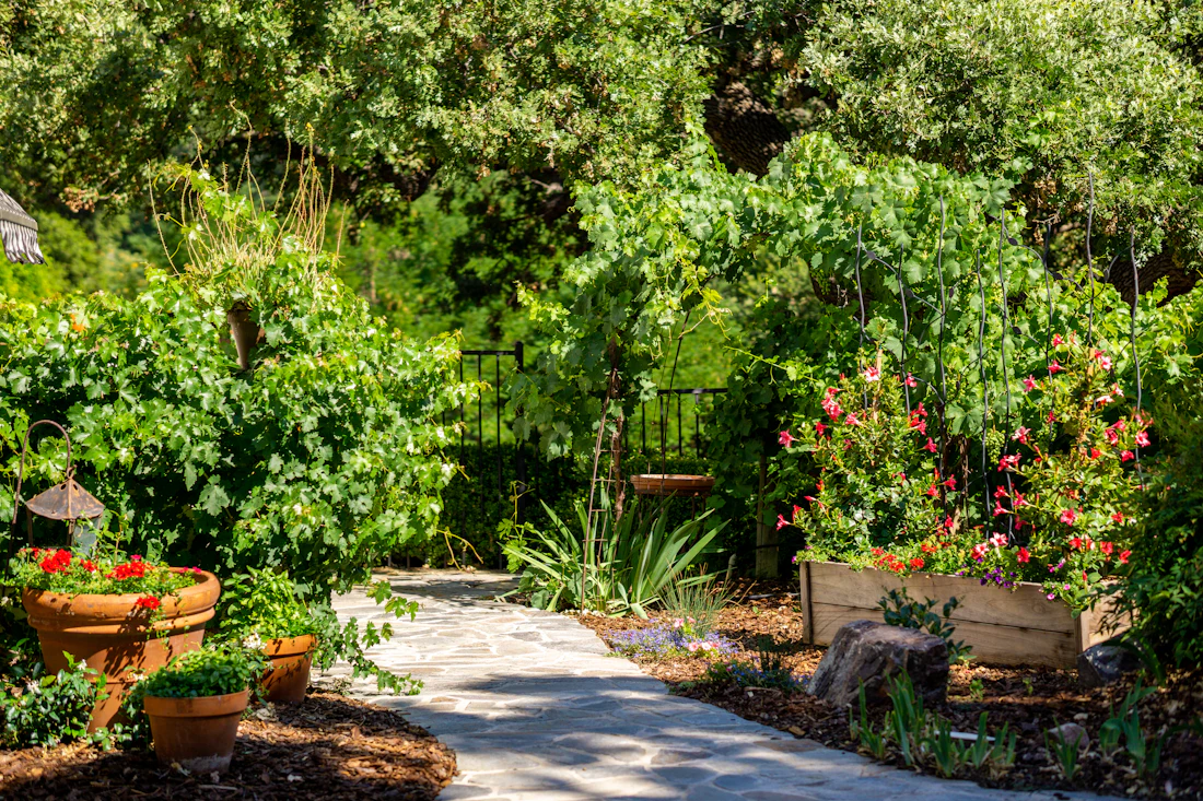Lush garden with layered plantings