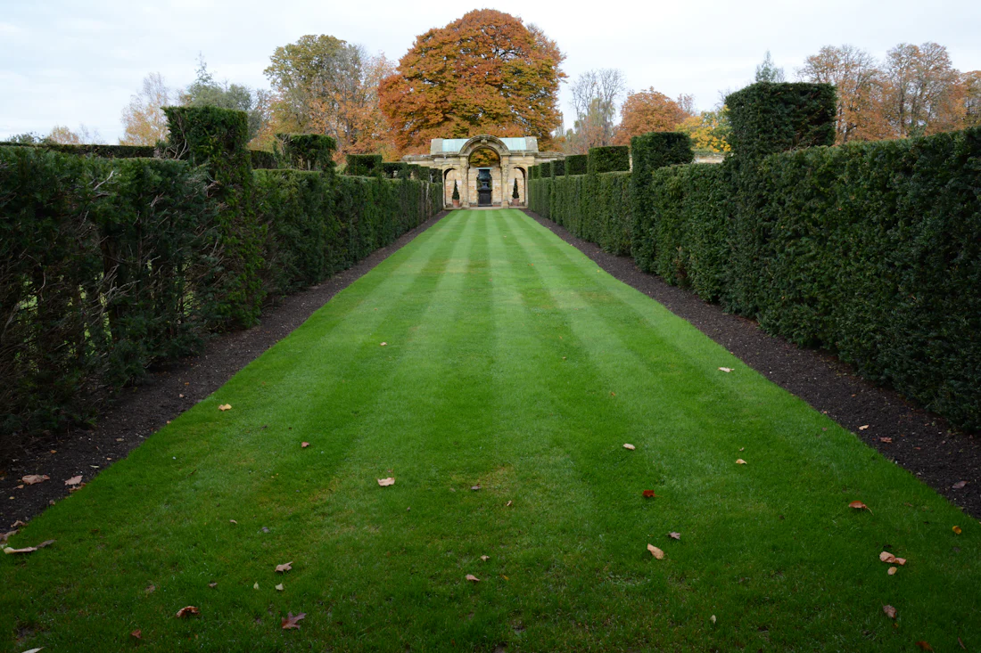 Long striped lawn lined with hedges