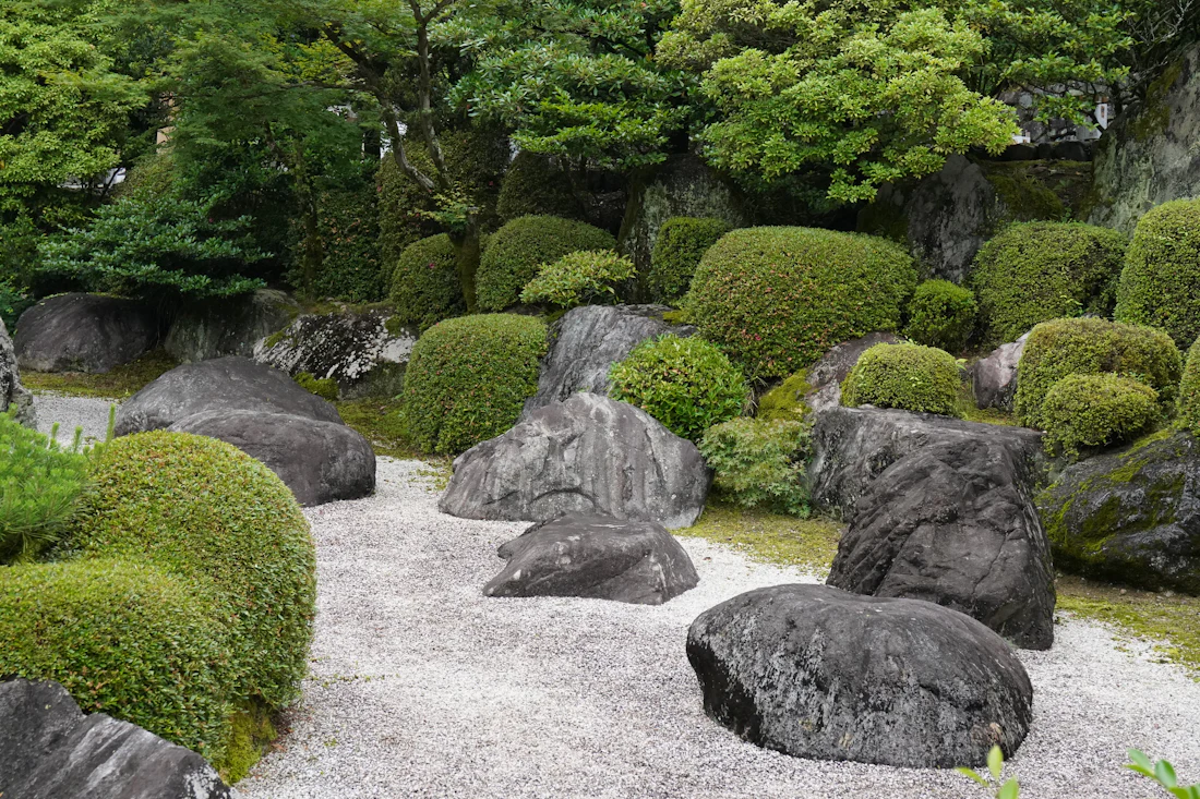 Rock garden with shaped shrubs